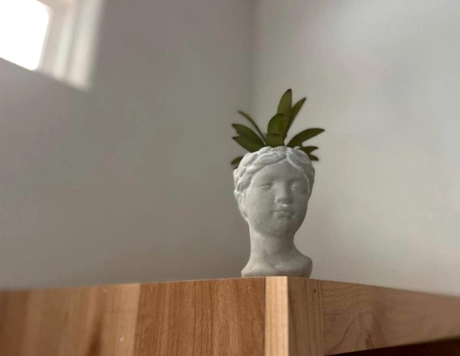 Tiny Houses (United States of America, New Braunfels, Texas)