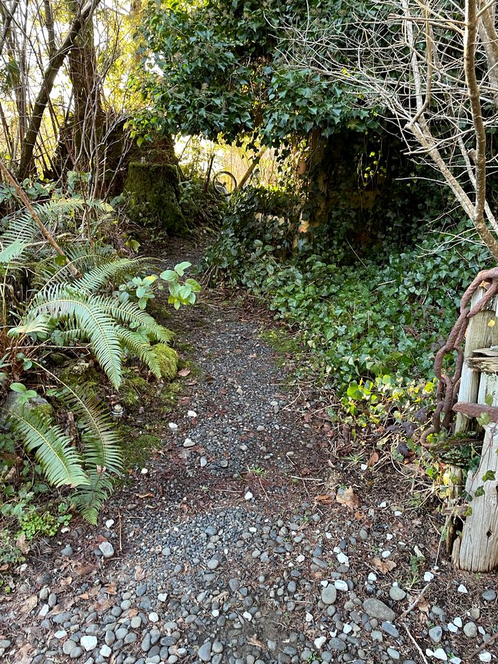 Glamping in the Eclipse Cabin in Forks, Washington, Home of the Twilight Saga