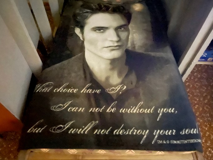 A-Frames (United States of America, Forks, Washington)