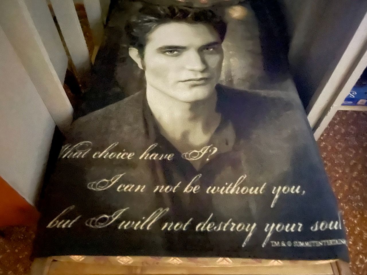 Glamping in the Eclipse Cabin in Forks, Washington, Home of the Twilight Saga