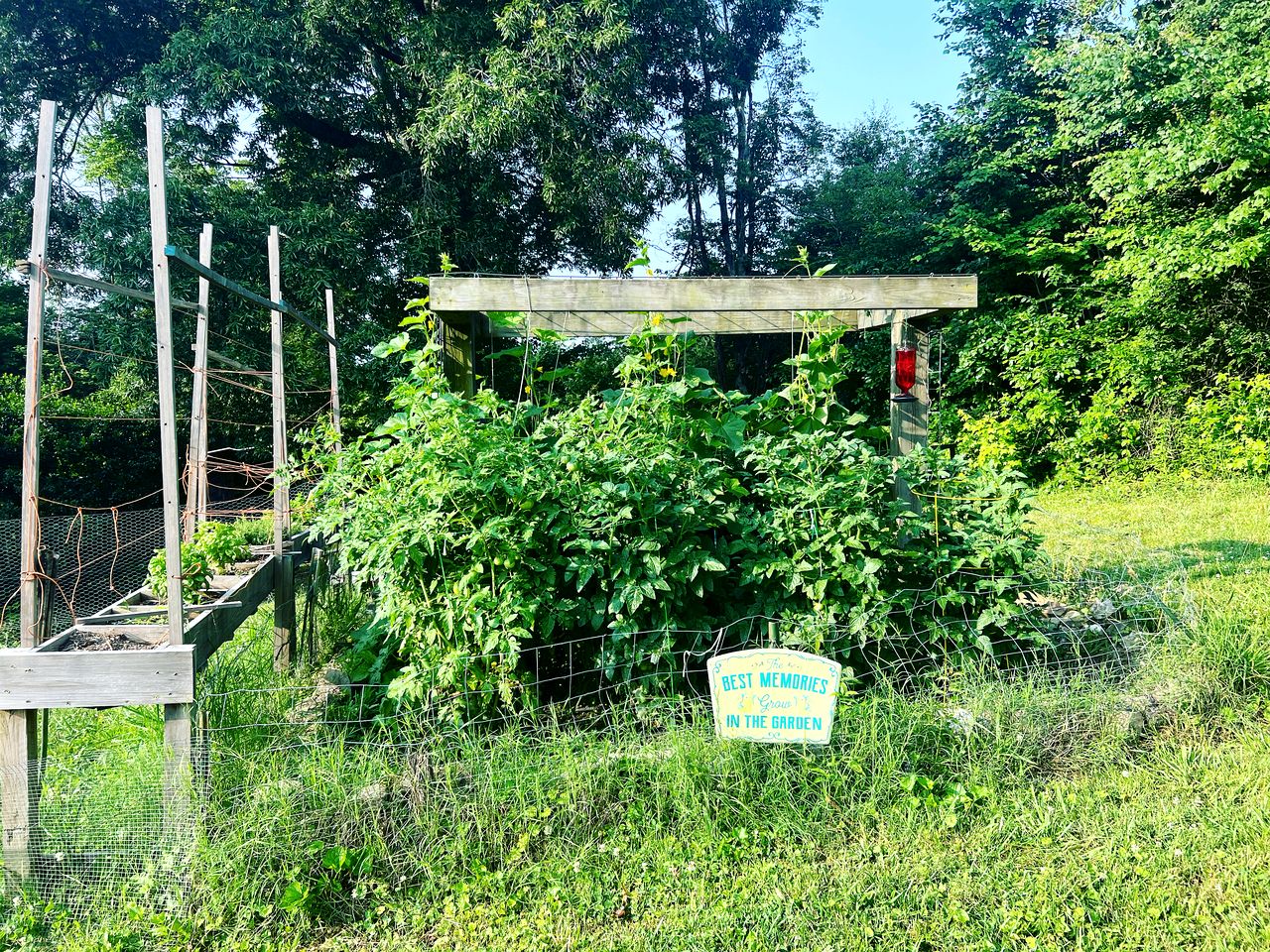 Serene Getaways to Nature on Horse Farm in Lafayette, Georgia