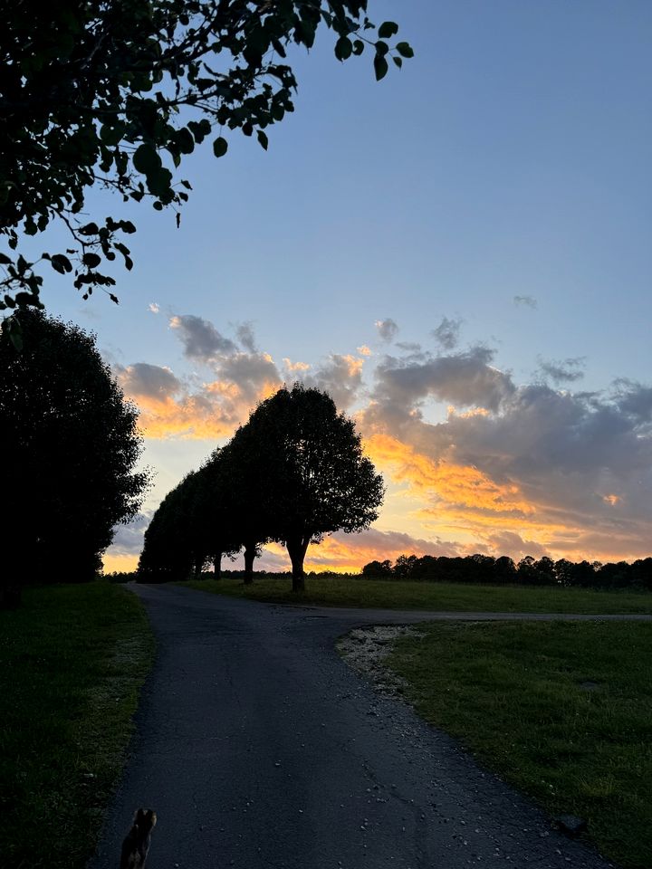 Serene Getaways to Nature on Horse Farm in Lafayette, Georgia