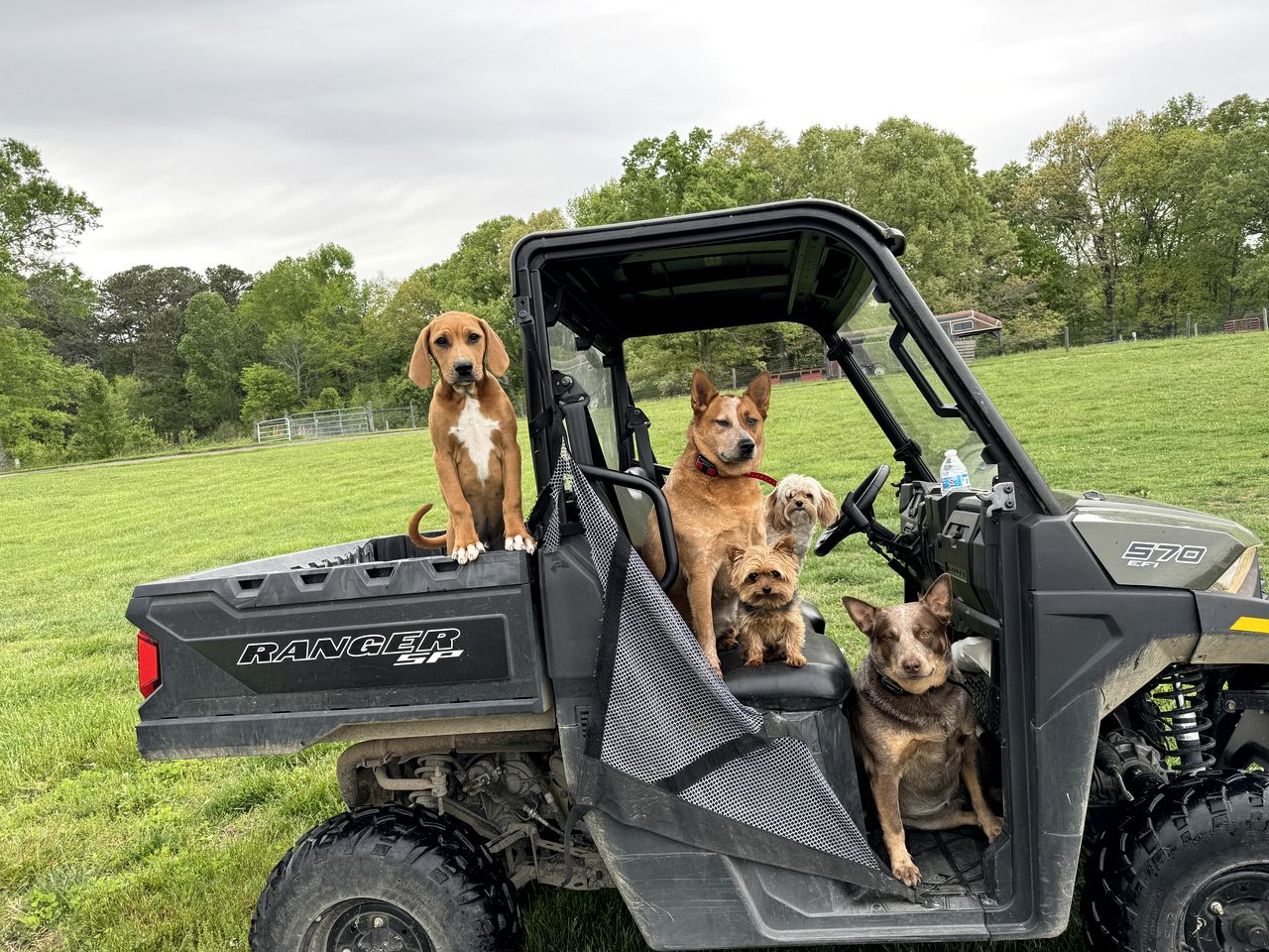 Serene Getaways to Nature on Horse Farm in Lafayette, Georgia