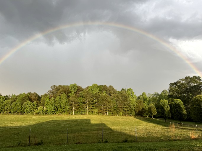 Tented Cabins (United States of America, LaFayette, Georgia)