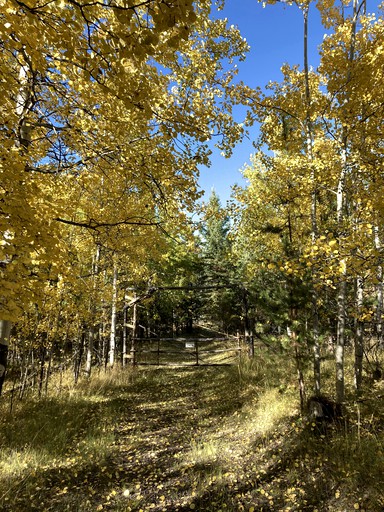 Cabins (Canada, 100 Mile House, British Columbia)