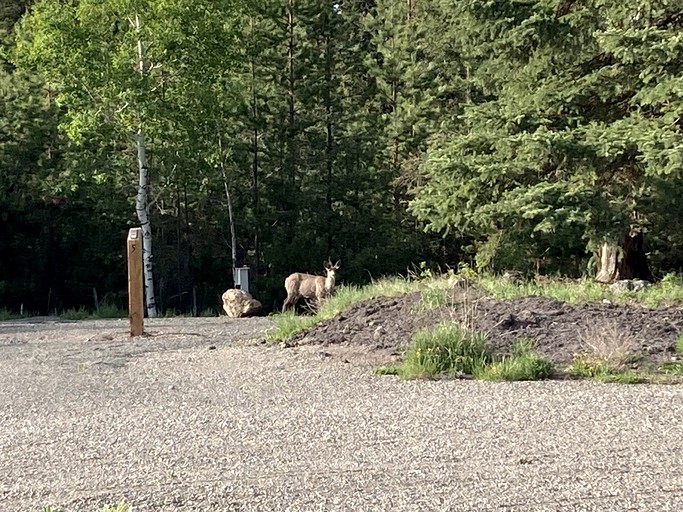 Cabins (Canada, 100 Mile House, British Columbia)