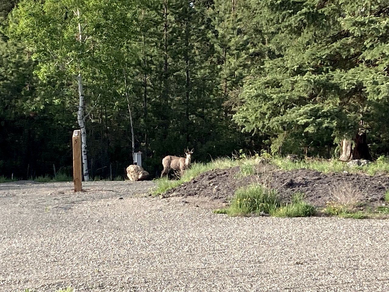 Rustic Cabin Rental in British Columbia for Perfect Weekend Getaways in Nature
