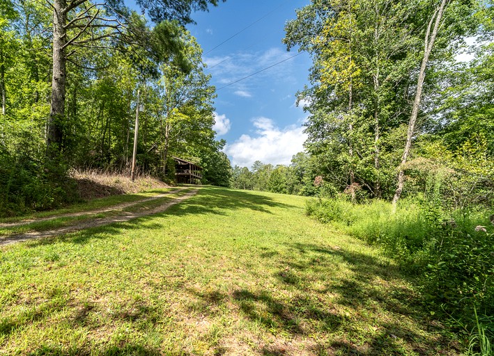 Cabins (United States of America, Young Harris, Georgia)