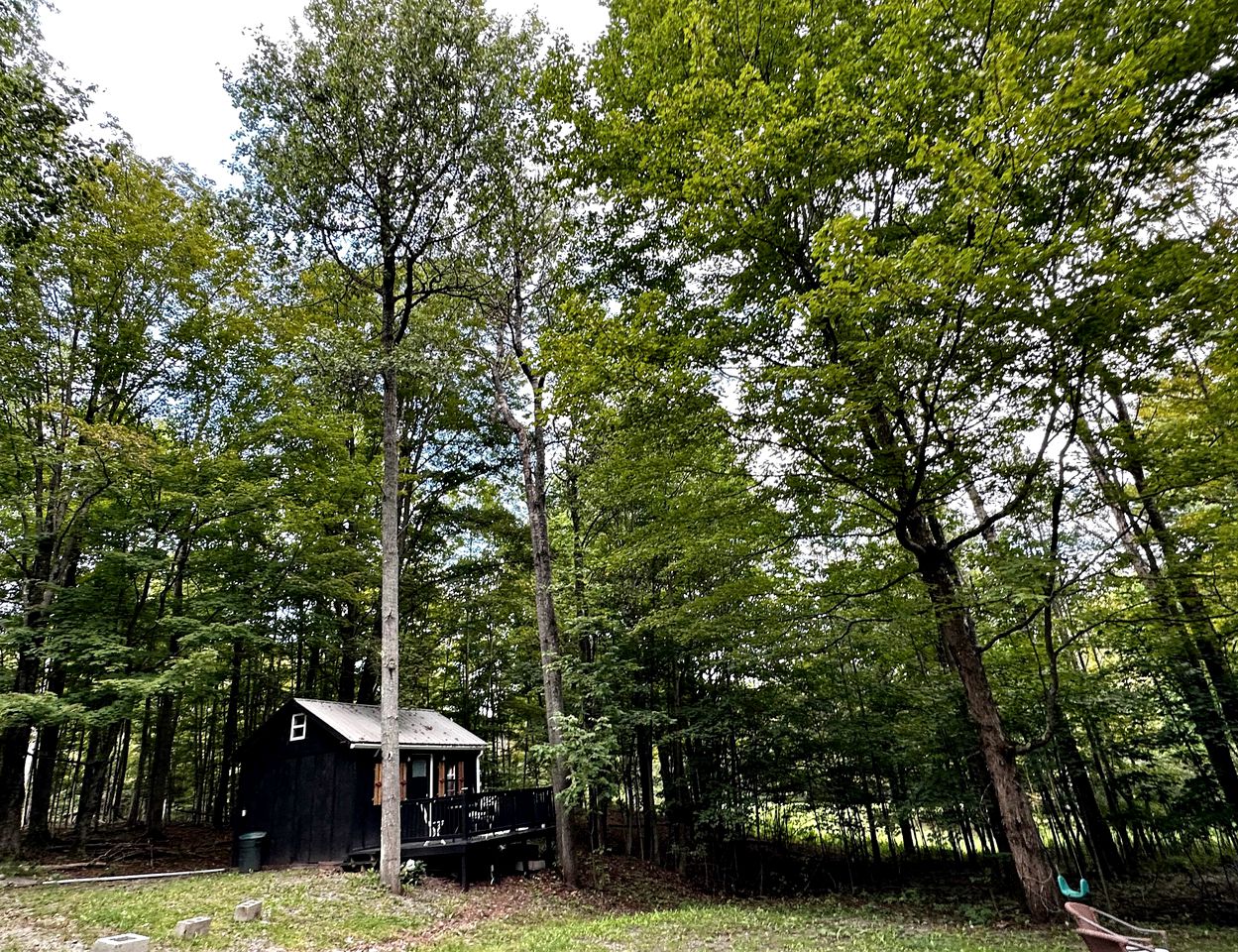Pet-Friendly Cabin in the Woods, for Pennsylvania Glamping Getaways to Nature
