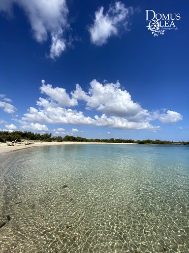 Safari Tents (Italy, Ceglie Messapica, Puglia)