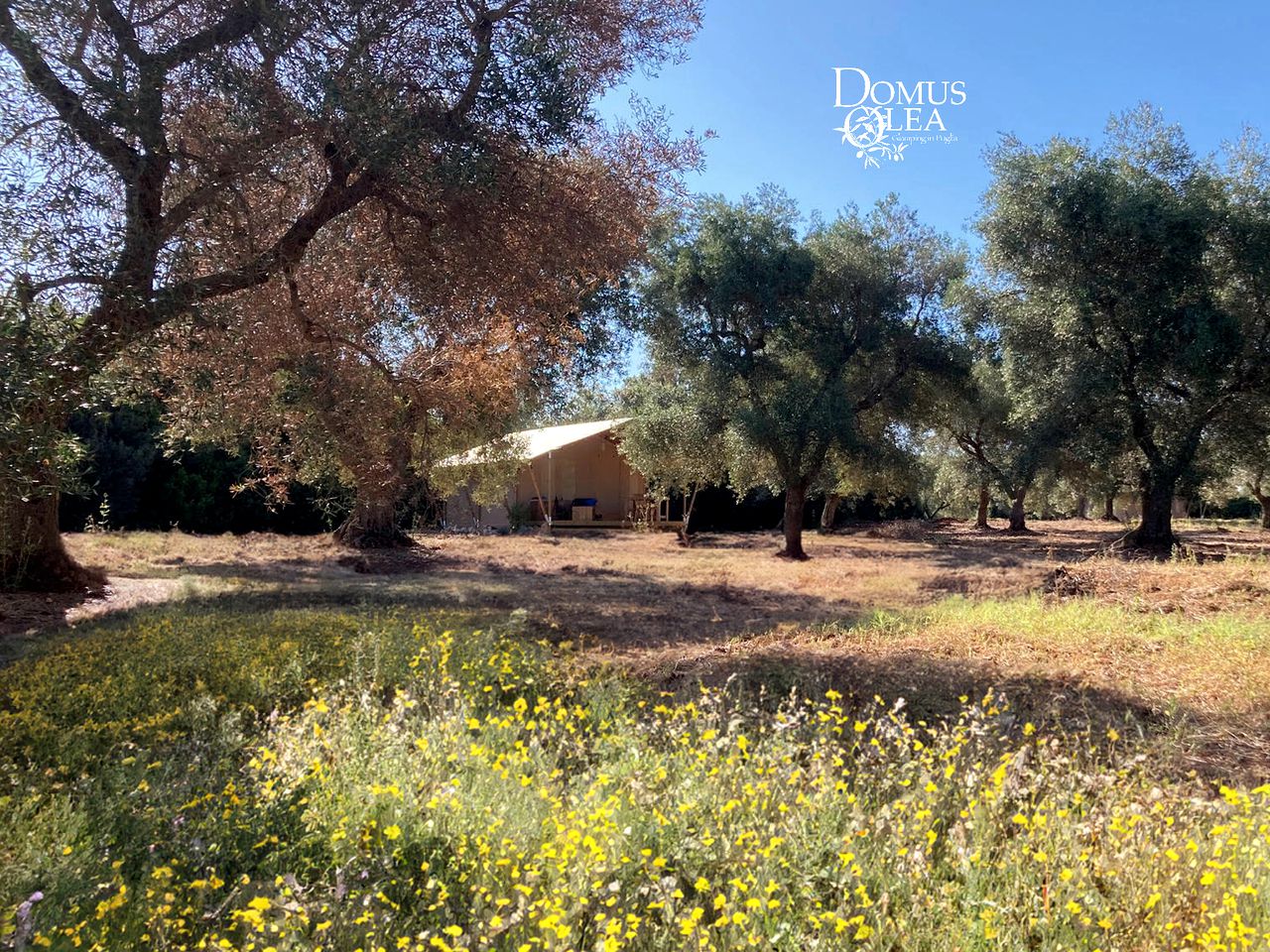 Idyllic Equipped Safari Tents Incredible for a Romantic Couple Retreat in Italy