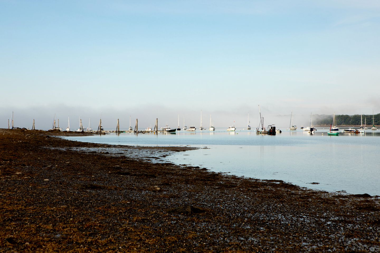 Tranquil Beach Getaways in Stockton Springs, in Yurt Rentals Nestled Along the Maine Coast