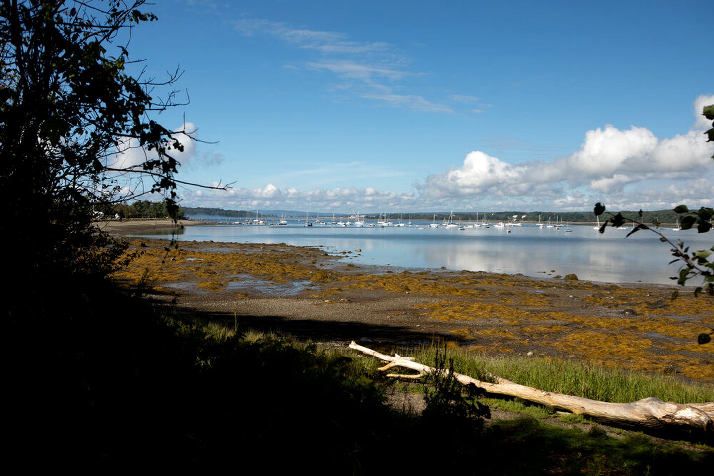 Tranquil Beach Getaways in Stockton Springs, in Yurt Rentals Nestled Along the Maine Coast