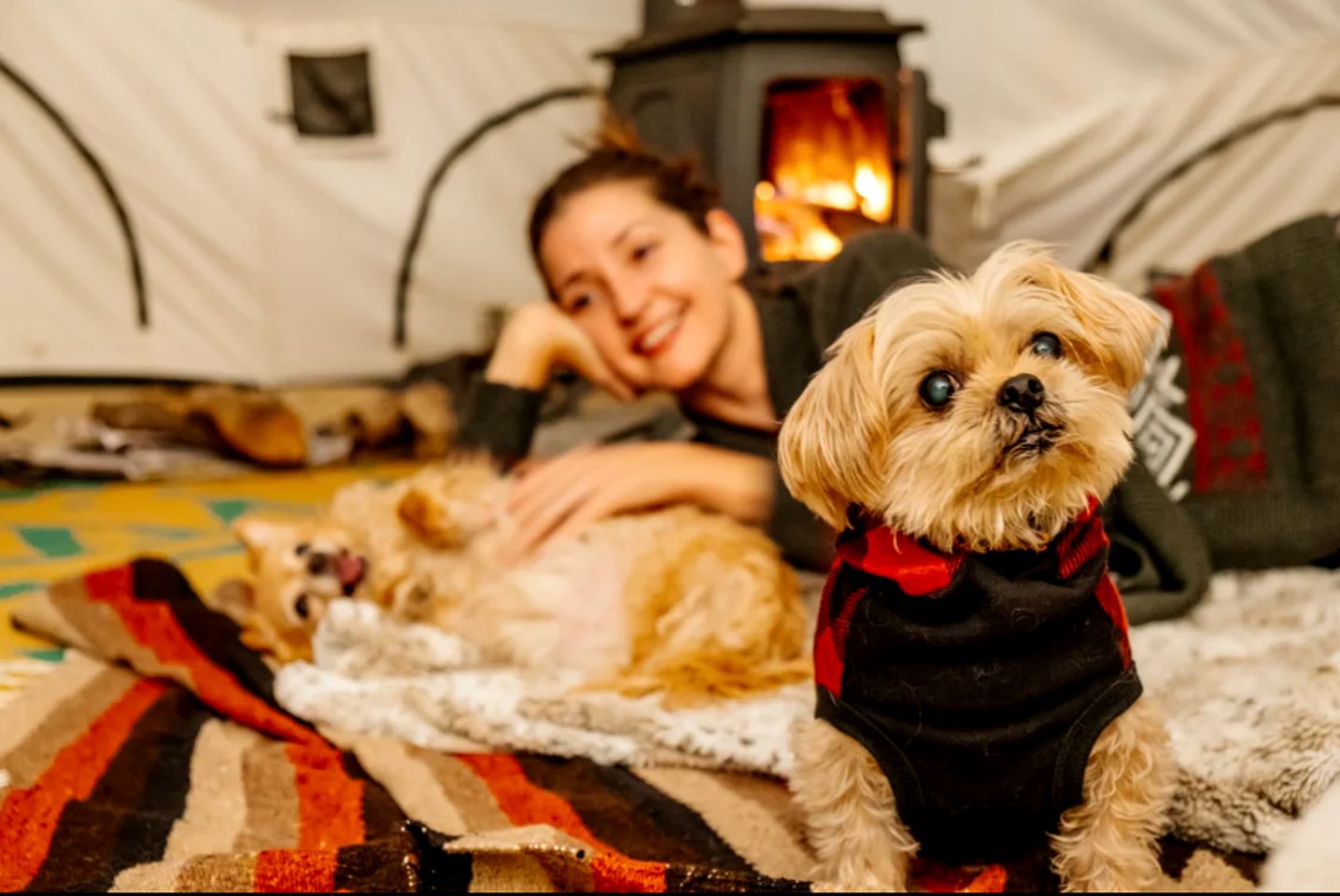 Pet-Friendly Bell Tent with Views of Taconic Mountains for a Great Escape in Nature in Petersburg, New York