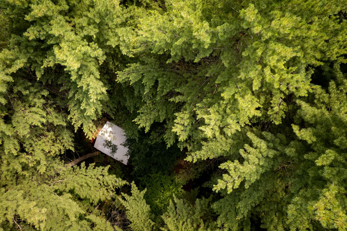 Secluded Safari Tent Getaway: Glamp in Style in Broadalbin, New York