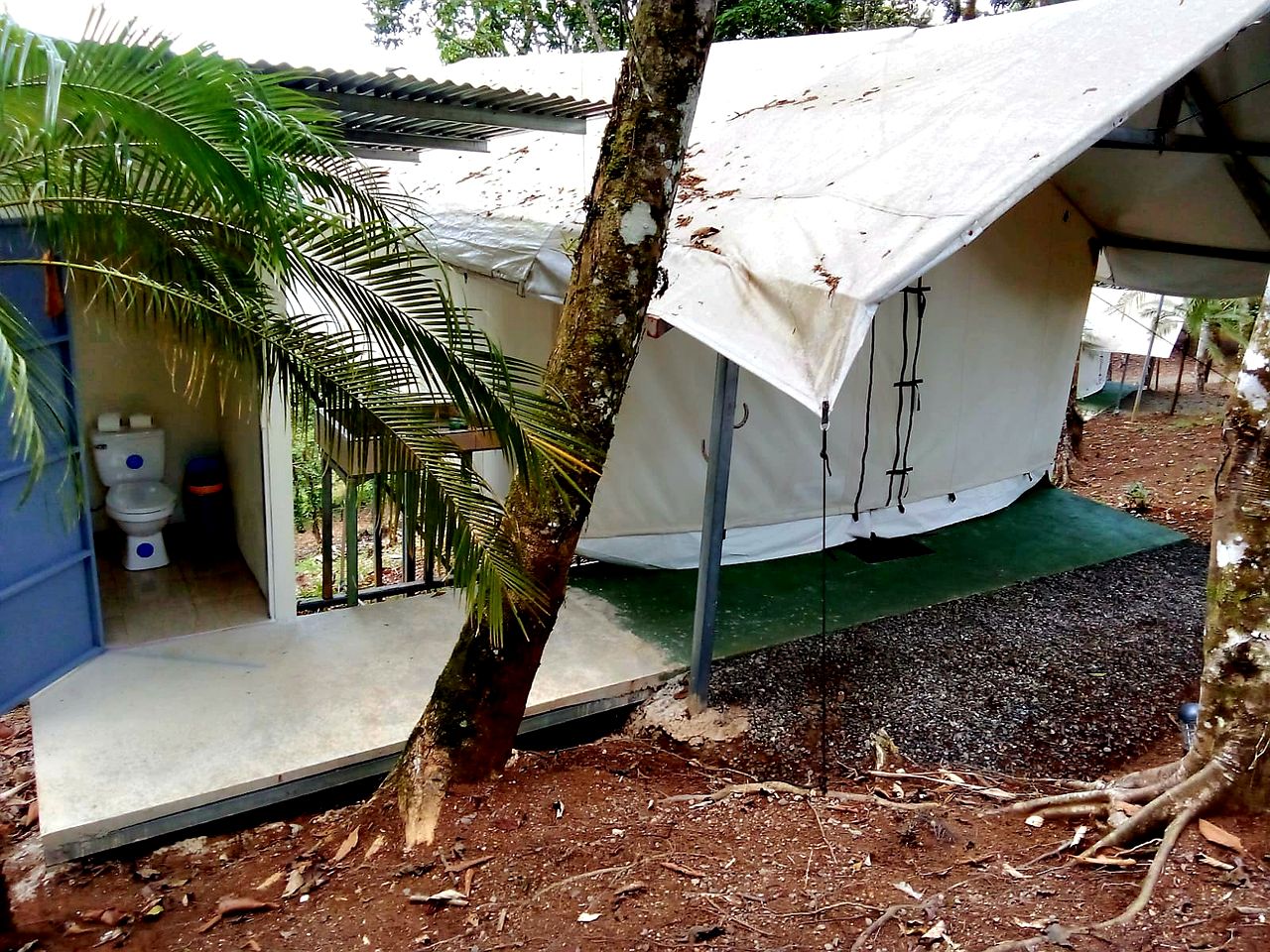 Glamping Tented Cabin Immersed in the Volcano Tenorio Tropical Rainforest in Rio Celeste, Alajuela