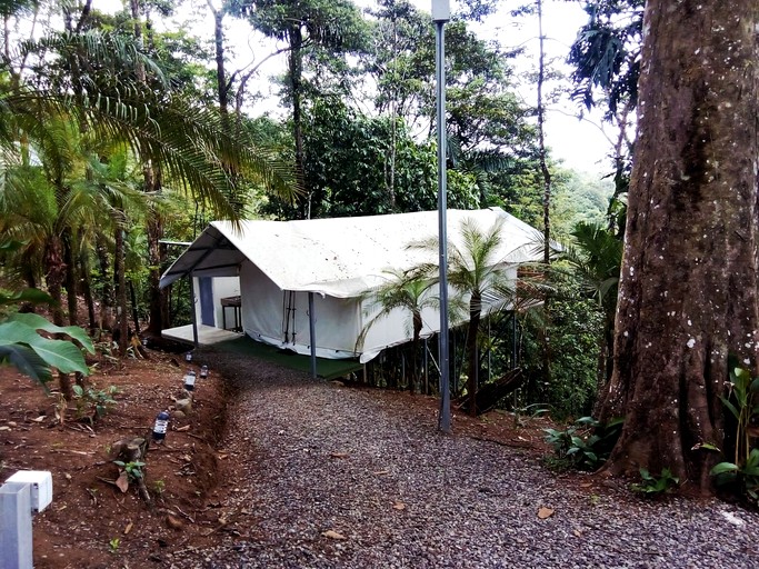 Tented Cabins (Costa Rica, Rio Celeste, Alajuela)