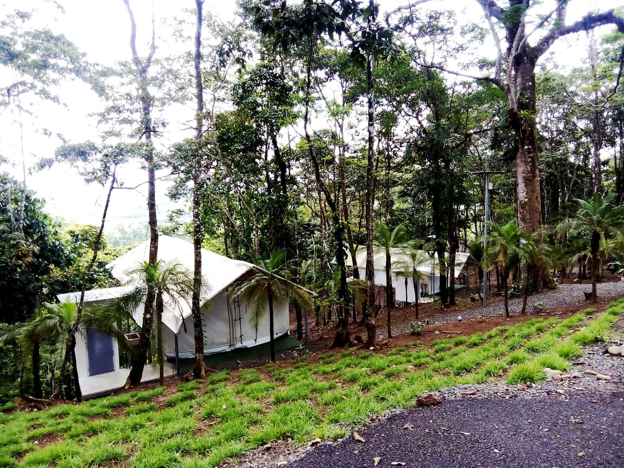 Glamping Tented Cabin Immersed in the Volcano Tenorio Tropical Rainforest in Rio Celeste, Alajuela