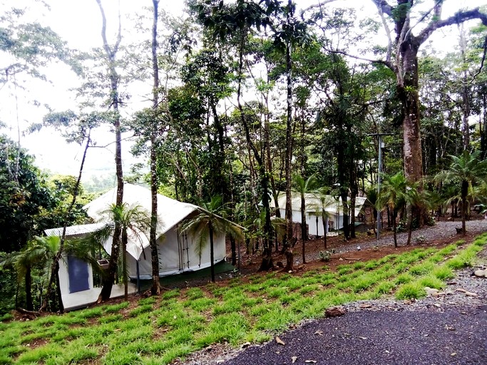 Tented Cabins (Costa Rica, Rio Celeste, Alajuela)