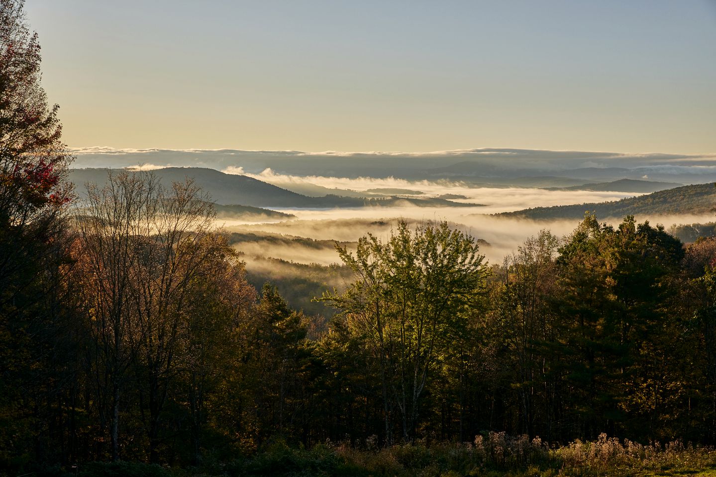 Zen Retreat in New York: Glamping for Relaxation and Rejuvenation