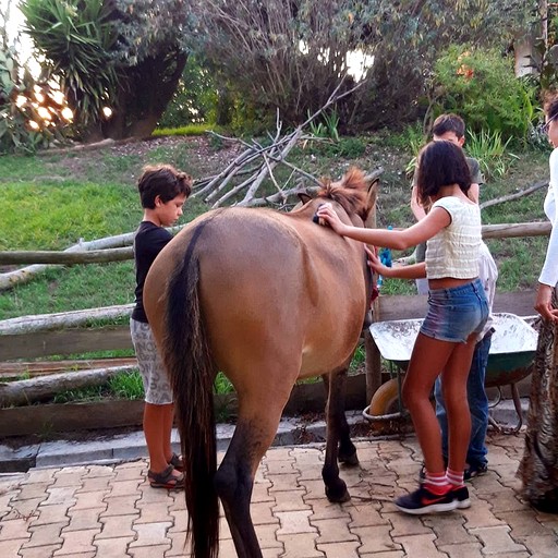 Vacation Rentals (Portugal, Vimeiro, Lisbon District)