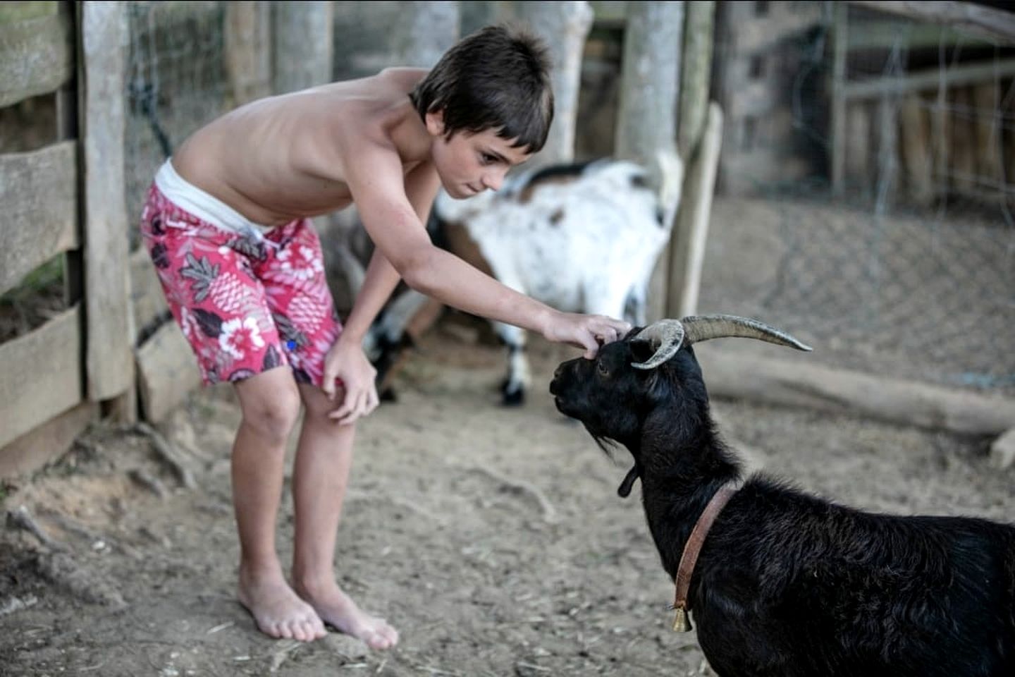 Luxury Holiday Rental in a Gorgeous Former Winery on the Costa de Prata in Portugal