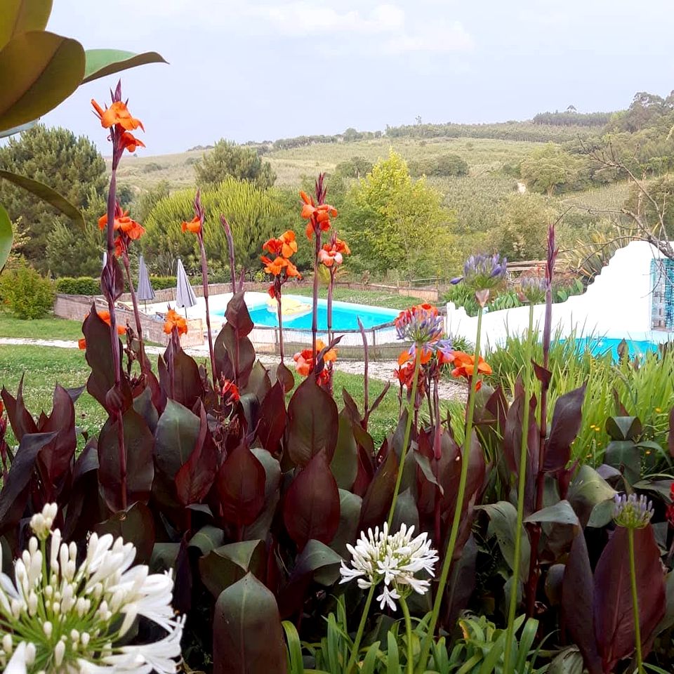 Charming Holiday Rental with Pool Access near Lisbon in Portugal