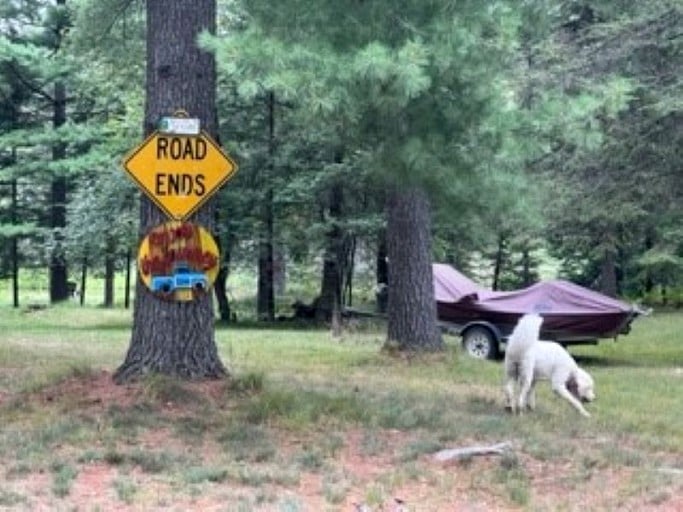 Cabins (United States of America, Mio, Michigan)