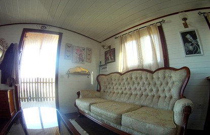 undefined photo 5