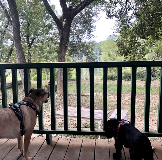 Cabins (United States of America, Calvert, Alabama)