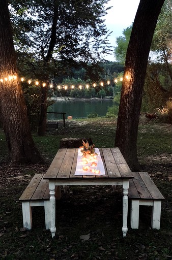 Cabins (United States of America, Calvert, Alabama)