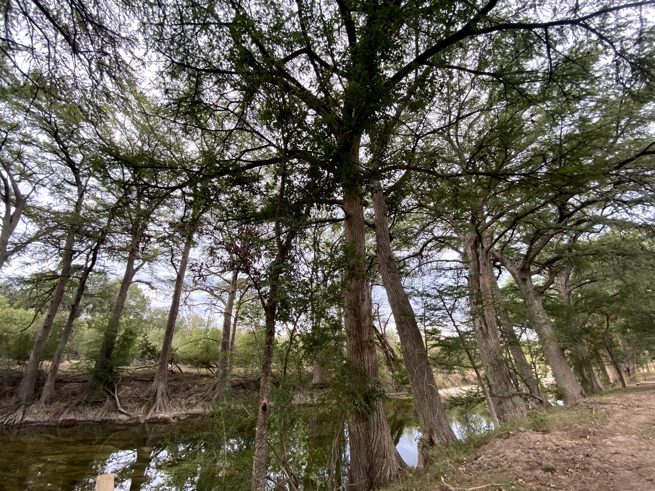 Luxury Glamping Yurt with Hot-Tub on the Medina River Bandera, Texas
