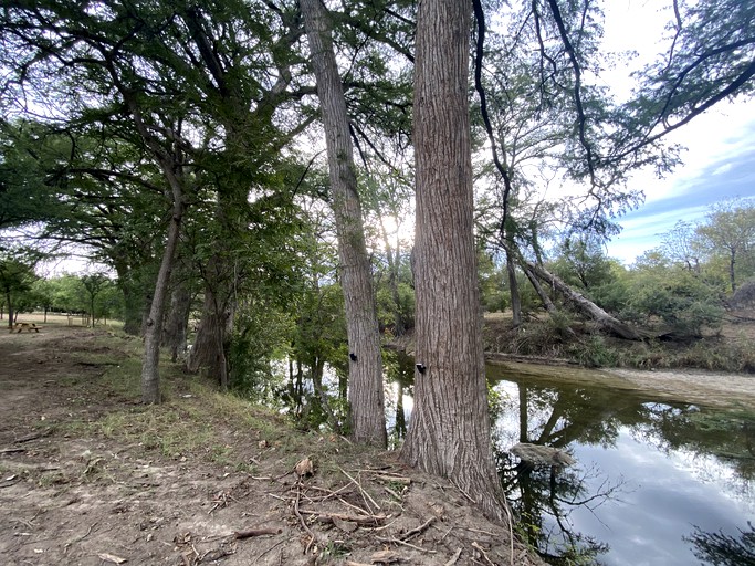 Yurts (United States of America, Bandera, Texas)