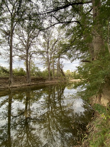 Yurts (United States of America, Bandera, Texas)