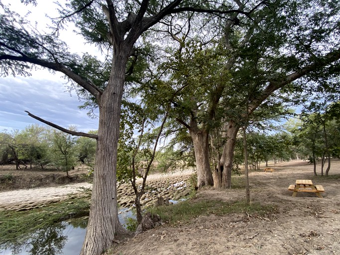 Yurts (United States of America, Bandera, Texas)