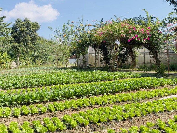 Bell Tents (Laos, Luang Prabang, Luang Prabang)