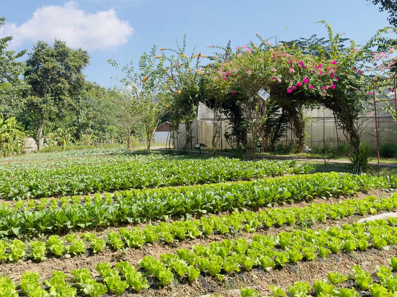 Spectacular Bell Tents Perfect for a Couples Retreat in Laos