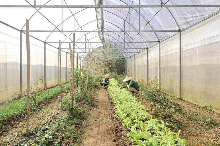 Bell Tents (Laos, Luang Prabang, Luang Prabang)