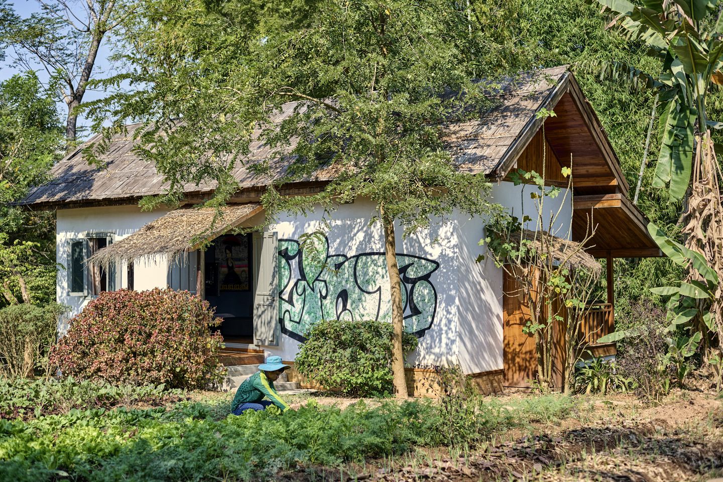 Splendid Forest Suite Incredible for a Relaxing Getaway in Laos