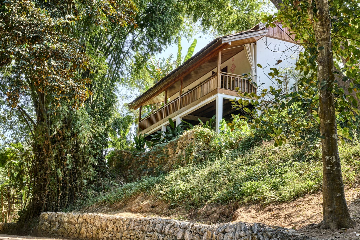 Splendid Forest Suite Incredible for a Relaxing Getaway in Laos