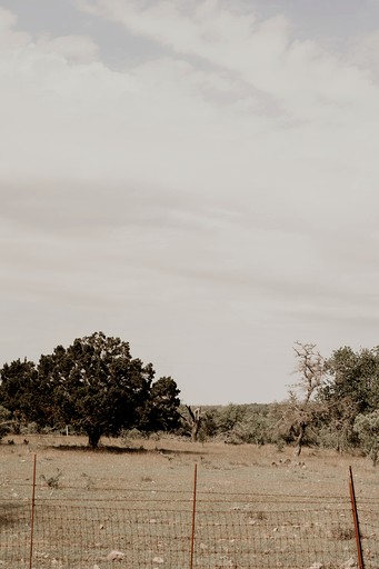 Containers (United States of America, Fredericksburg, Texas)