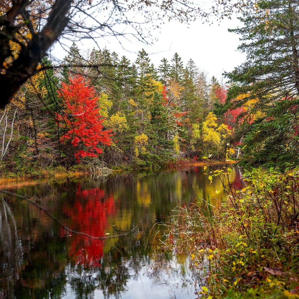 Stunning Reflection Cabins Equipped with a Private Cedar Hot Tub in the Heart of Forest in Cocagne, Canada
