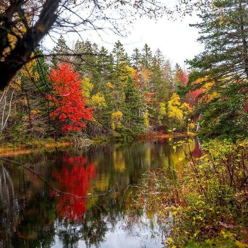 Cabins (Canada, Cocagne, New Brunswick)