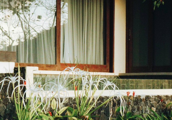 Designer Rentals (Indonesia, Labuan Lombok, West Nusa Tenggara)