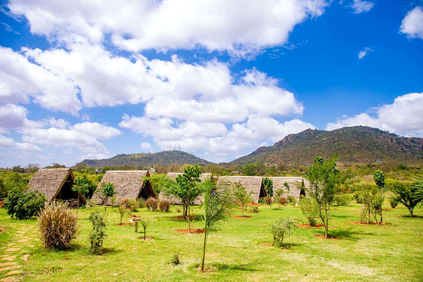 Rustic A-Frames Perfect for a Unique Glamping Escape in Kenya