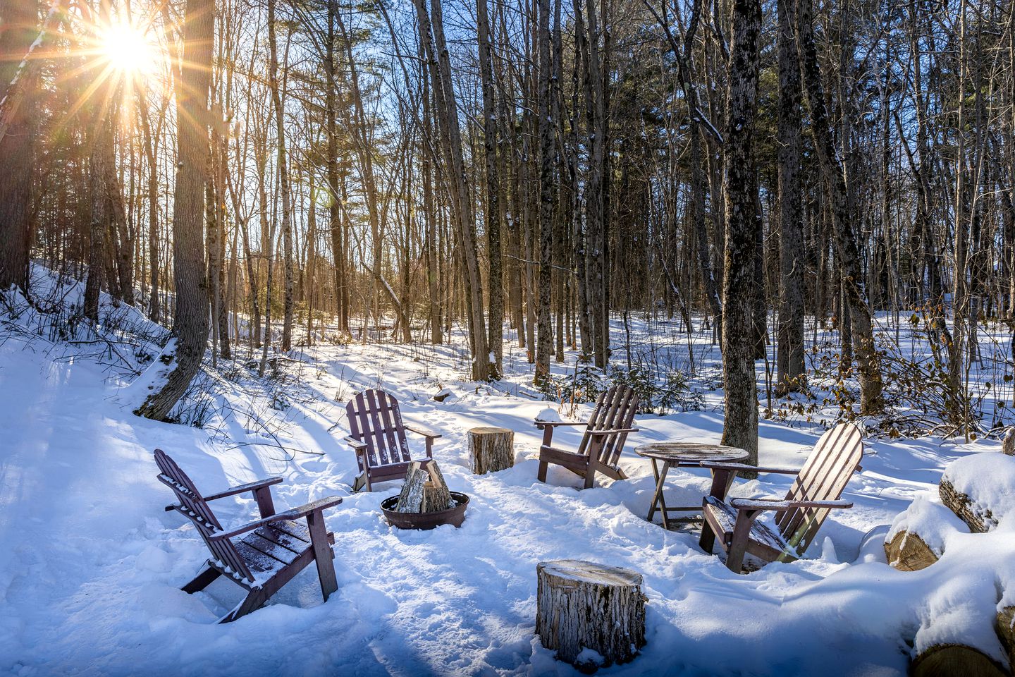 Forest Tranquility: Secluded Pet-Friendly Cabin with a Hot Tub in Kawartha Lakes, Ontario