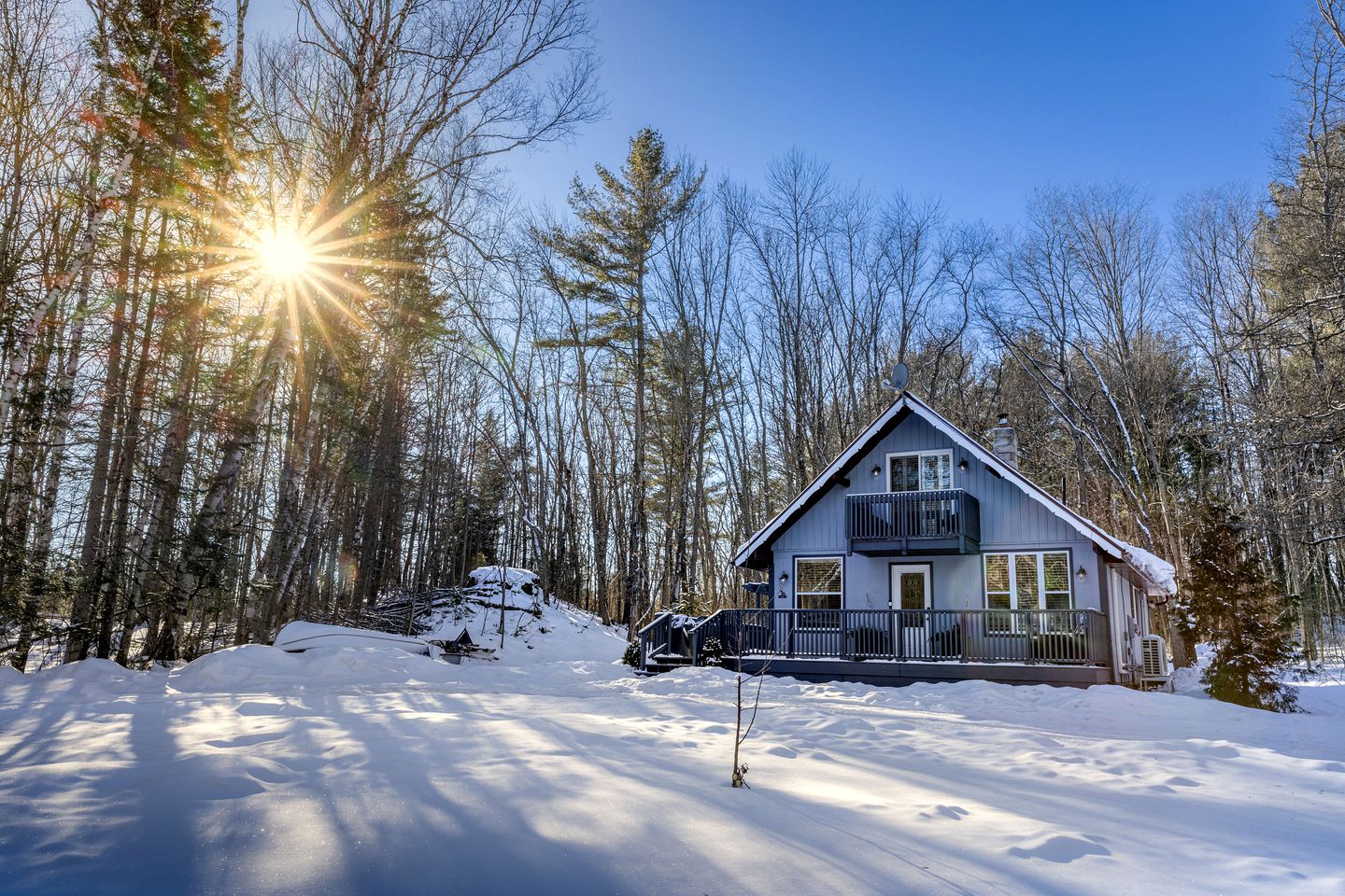 Forest Tranquility: Secluded Pet-Friendly Cabin with a Hot Tub in Kawartha Lakes, Ontario