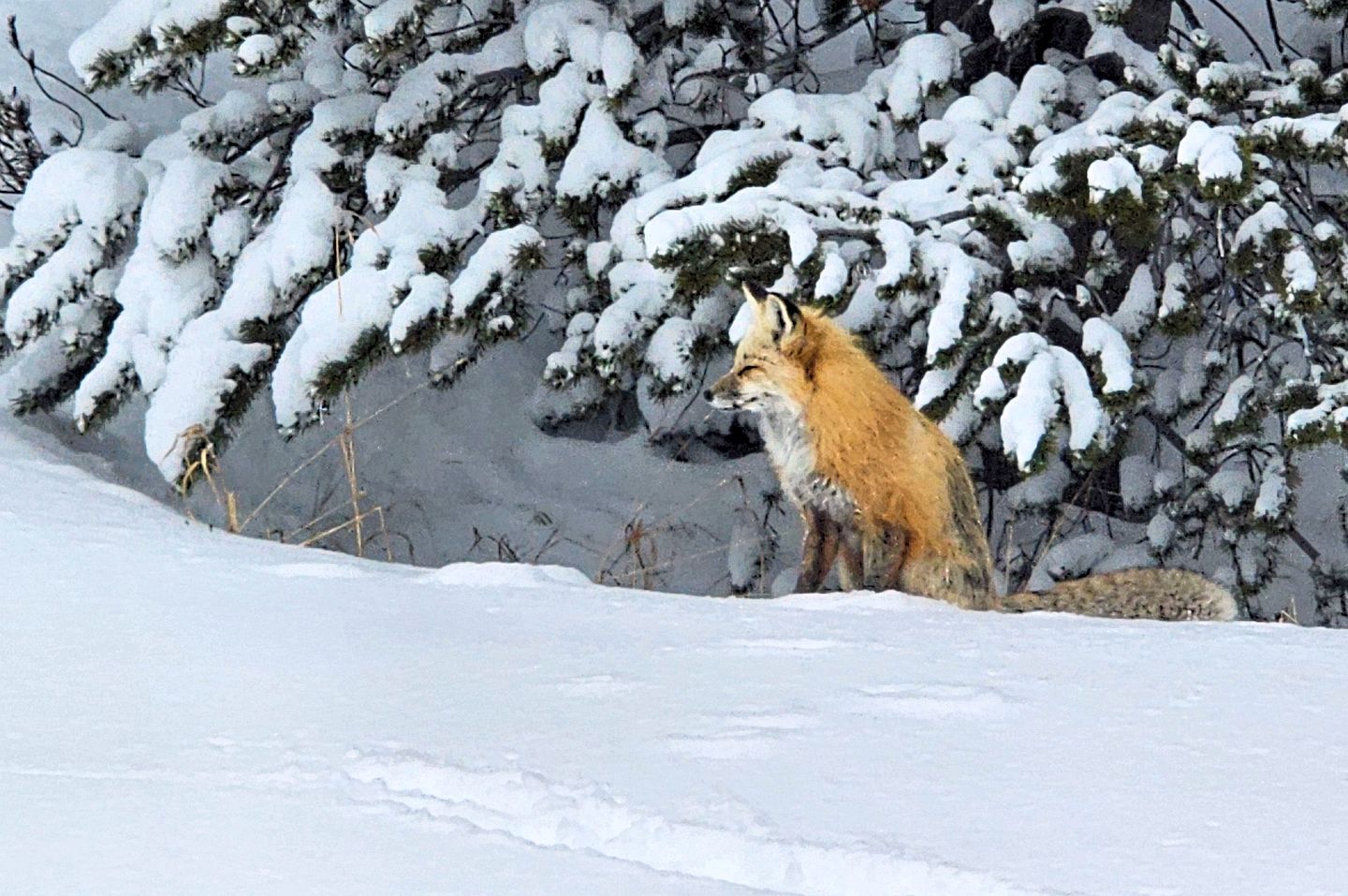 Family-Friendly Cabin Rental with Lone Peak Views in Big Sky
