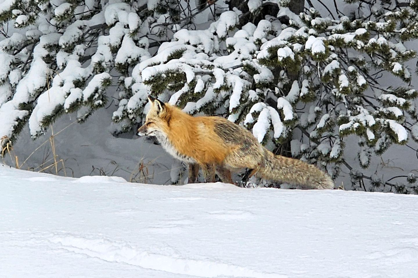 Family-Friendly Cabin Rental with Lone Peak Views in Big Sky