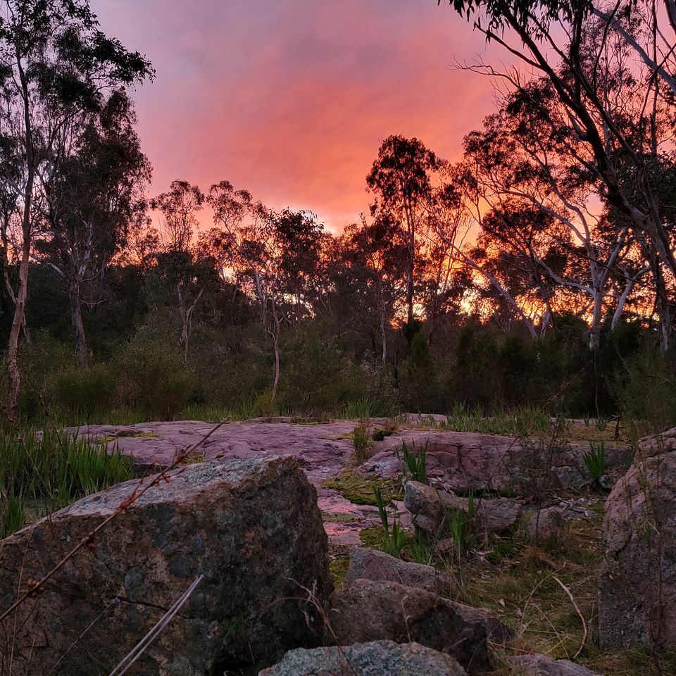 Breathtaking Cabin with Spectacular Interior, Deck, Jacuzzi and Countryside Views in Victoria